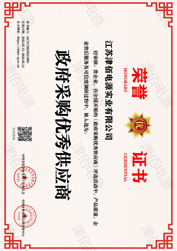 Outstanding Government Procurement Supplier
